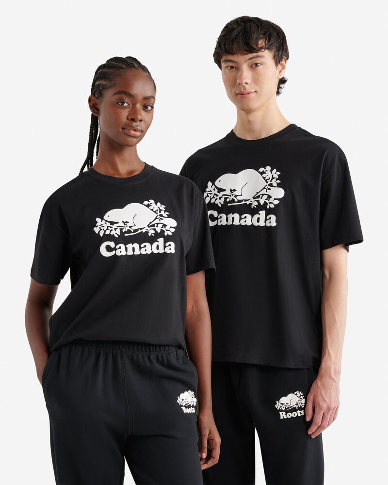27170049_001_a